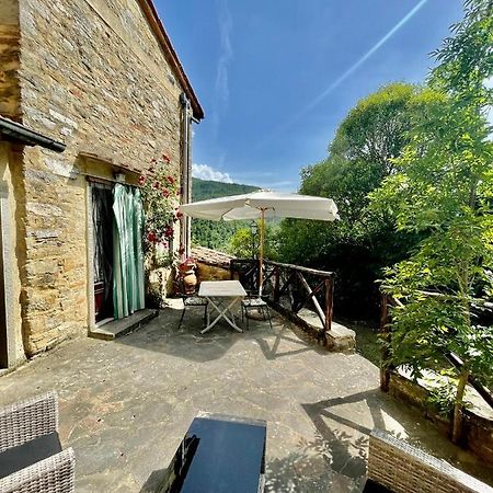 Il Colle - Apartment Gelso San Godenzo Bagian luar foto